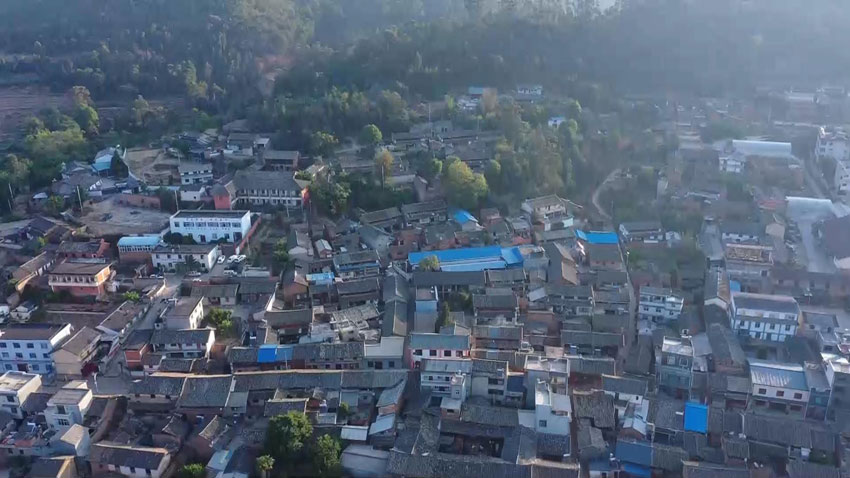 子午鎮(zhèn)云龍村。何明杰攝
